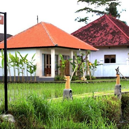 Padi Guest House Keramas Dış mekan fotoğraf